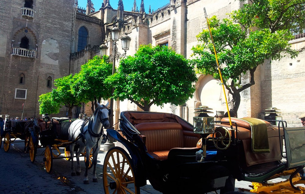 Las 3 excursiones básicas por Sevilla