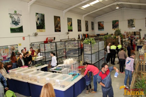 Exposición de Animales en Sevilla